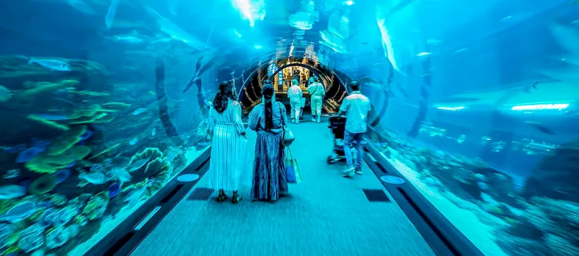 Monde Aquatique : Plongez dans l'Aquarium de Dubaï
